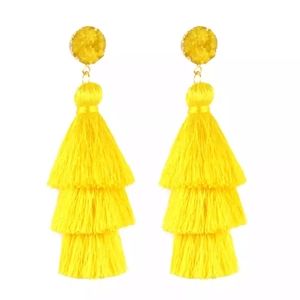 Tassel fashion earrings final sale😊
